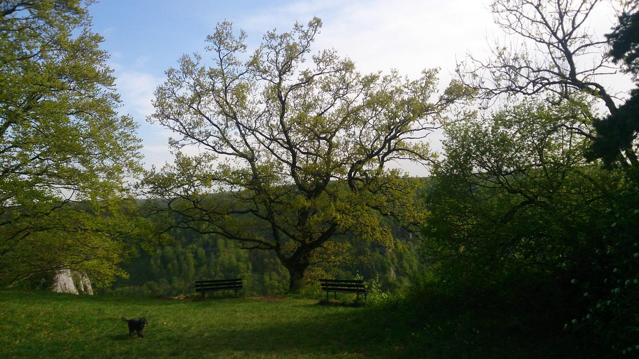 Berghaus Knopfmacher Fridingen an der Donau Zewnętrze zdjęcie