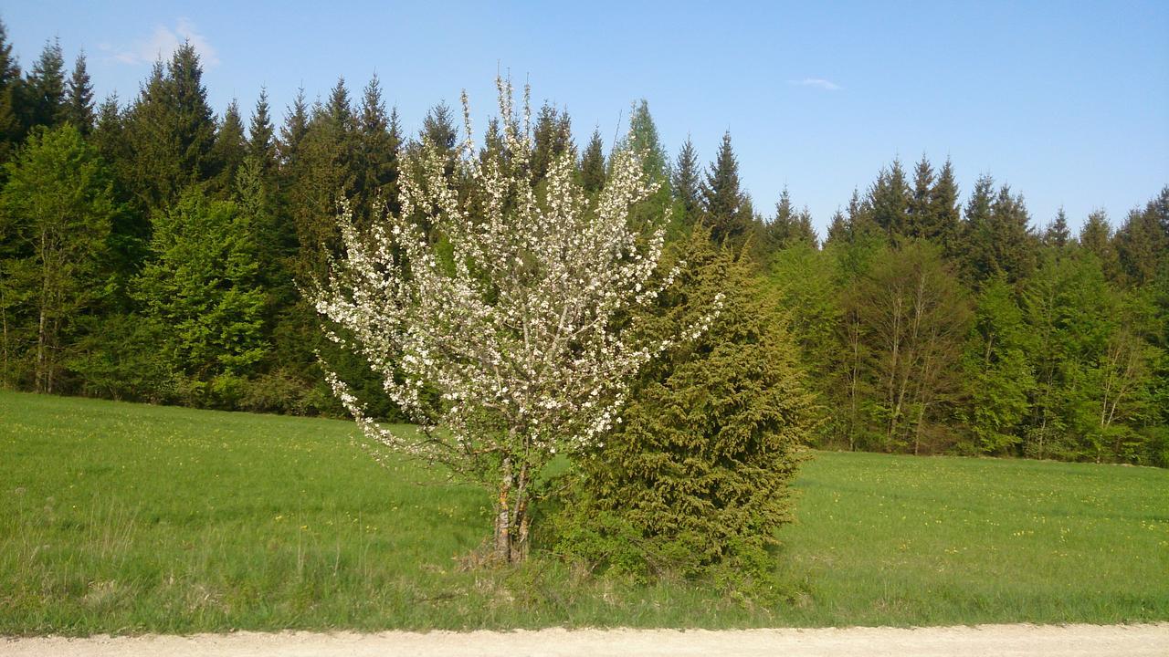 Berghaus Knopfmacher Fridingen an der Donau Zewnętrze zdjęcie